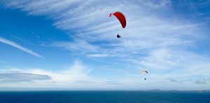 Paragliders